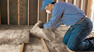 Best Basement Insulation  in Six Mile Run, NJ