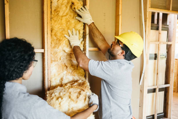 Best Eco-Friendly or Green Insulation Solutions  in Six Mile Run, NJ